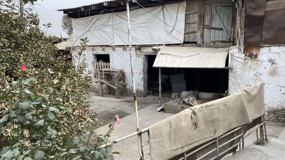 Уй сотилади холати ортача