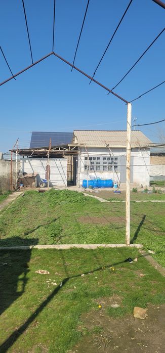 Sayoxatda 6 sotiqlik dacha sotiladi