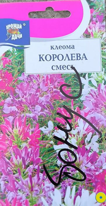 Зур уруглар келтирилган скидкада