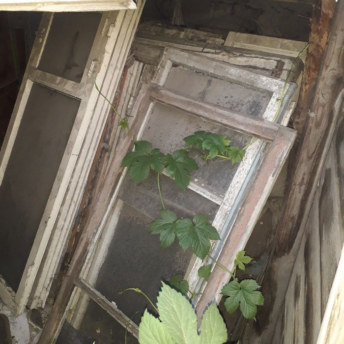 Продам рамы оконные деревянные б/у