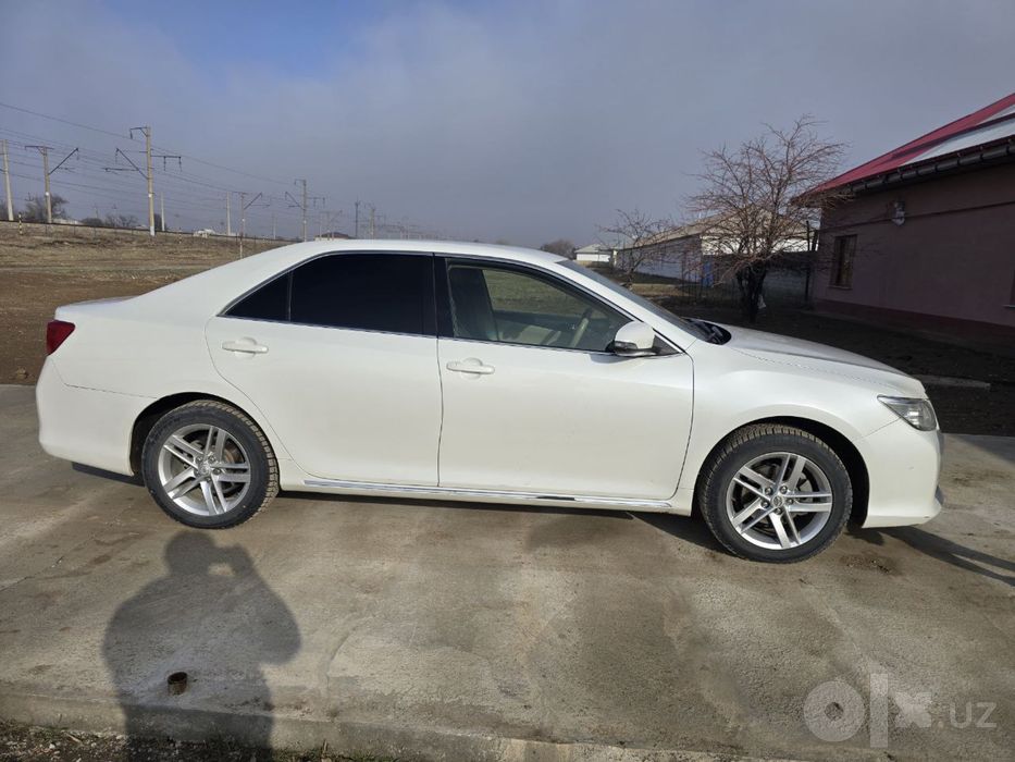Tayota Camriy 50 biznes