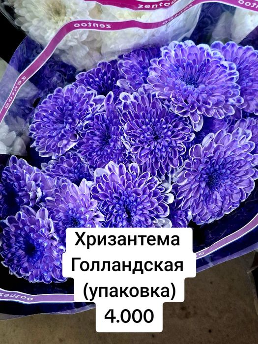 Розы, спрей-розы, гортензия, лизиантус, хризантема, эвкалипт Алматы!