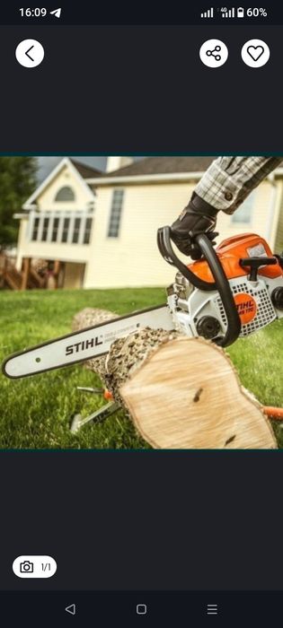 Daraxt kesish va Malakali Bogʻbon xizmati