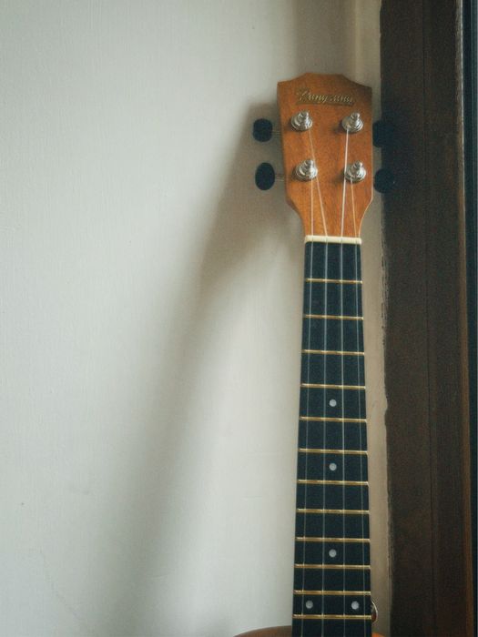 УКУЛЕЛЕ (концерт)