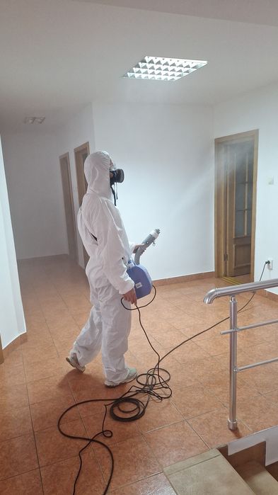 Servicii DDD -Dezinsectie Deratizare Dezinfecție