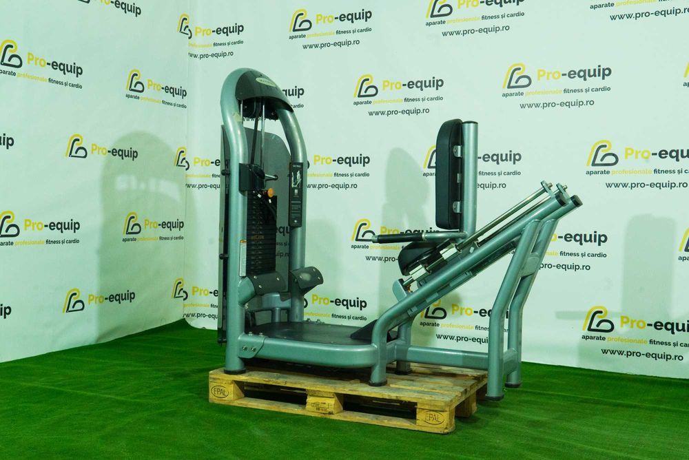 Aparat fitness profesional picioare Matrix, Technogym