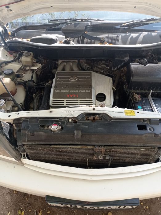 Продам торг есть