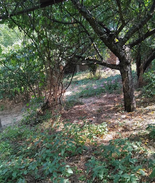 Продава се Къща в с. Мламолово, Област Кюстендил - 100 кв.м за 215 €/кв.м - Снимка #3