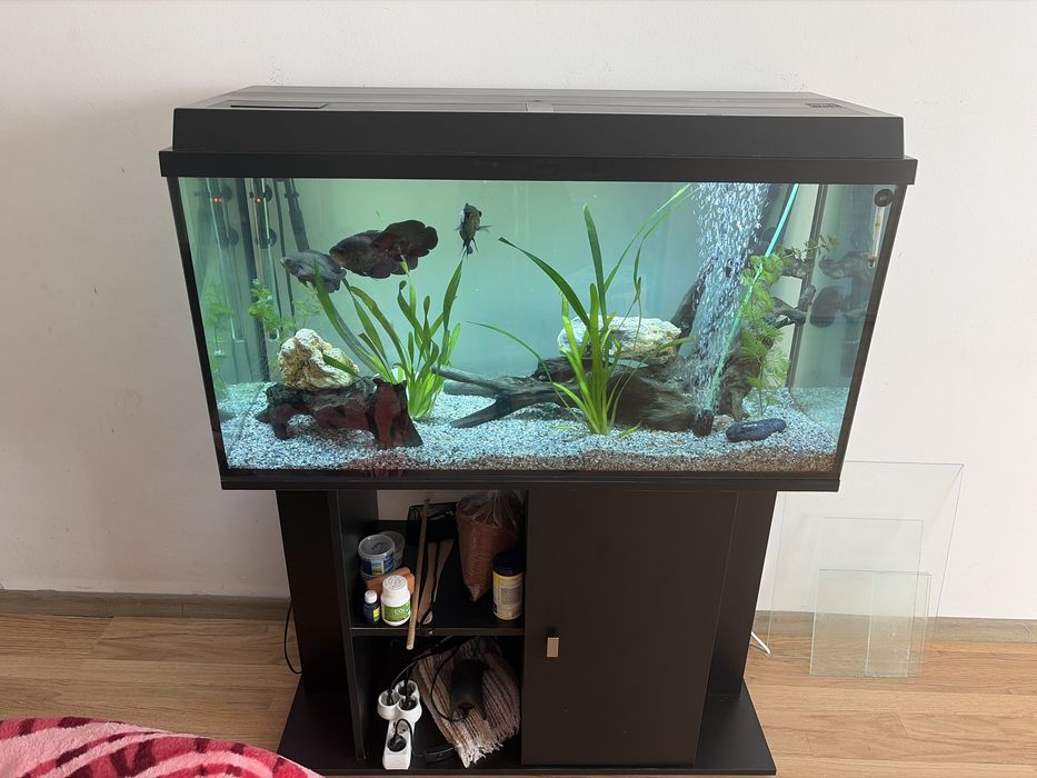Acvariu 200 litri