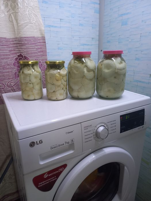Продам грибы Грузди