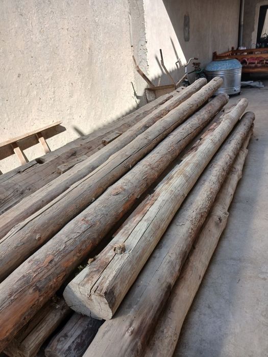 Синж болор каламалар сотилади