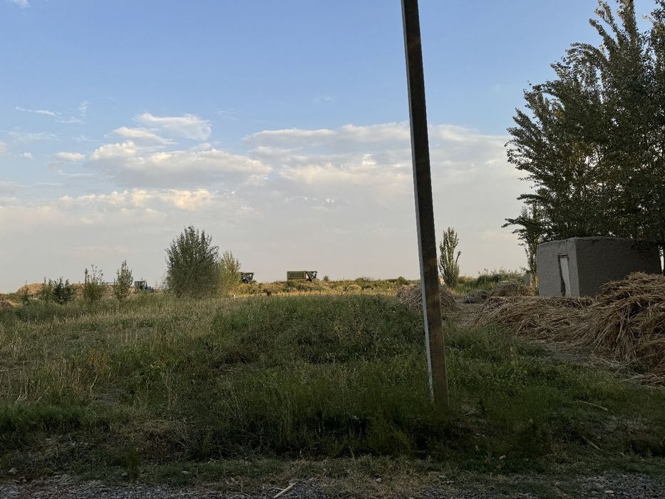 Сирдарьё Сардоба Участок 25 соток