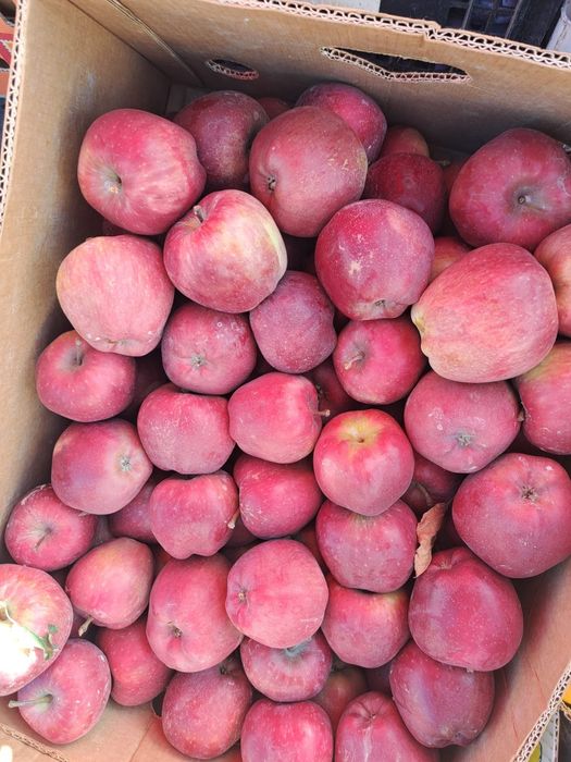 Vând mere diverse soiuri