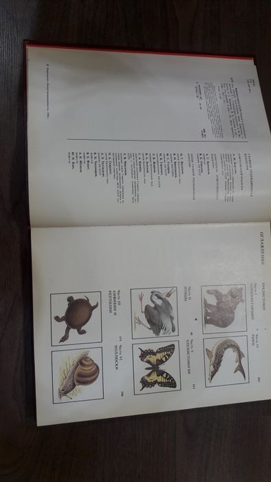 Красная книга СССР