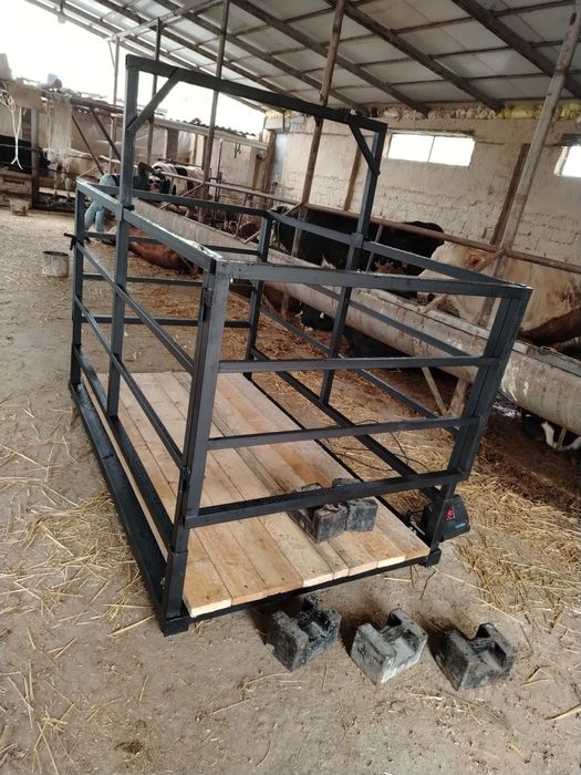 Mol olchidgan tarozilar