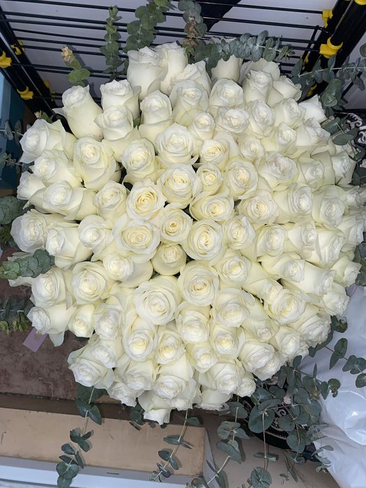 Ақ роза свежийй гул