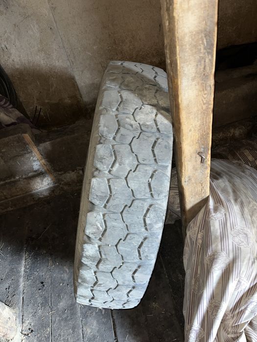 Газ 53 шины продам.