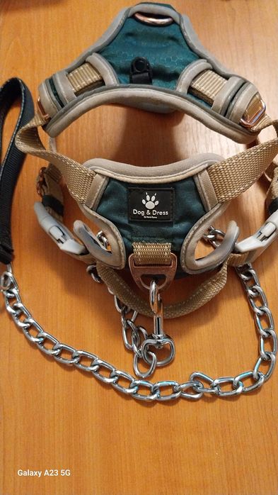 Ham DOG & DRESS marimea S si lesa lant 80 cm