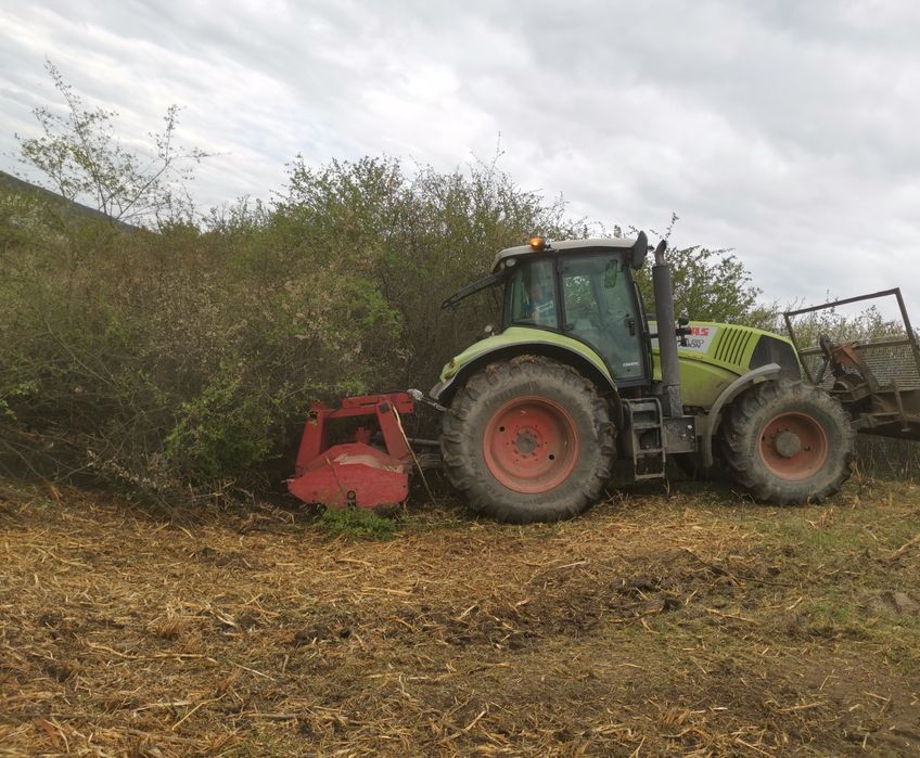 Curatare si defrisare terenuri, pasuni, livada