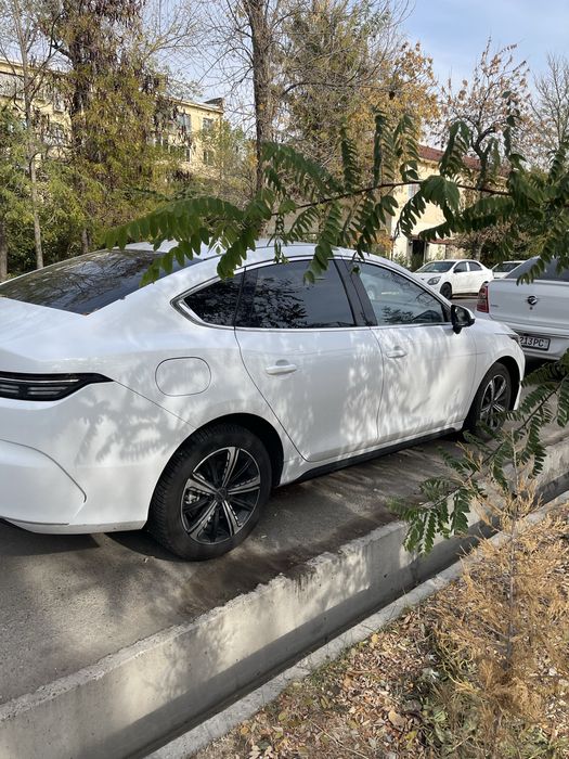 Продажа chazor flagship