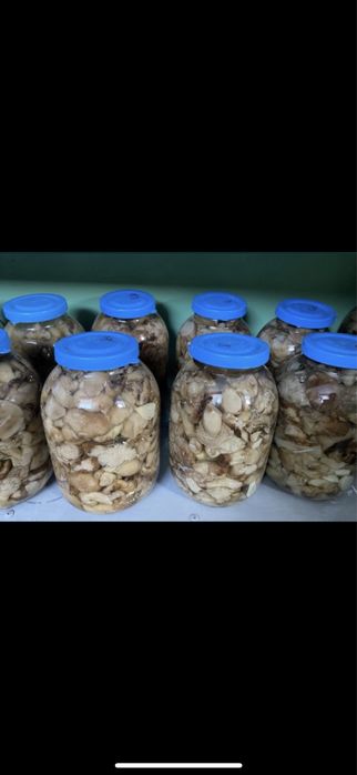 Грибы валуи соленные