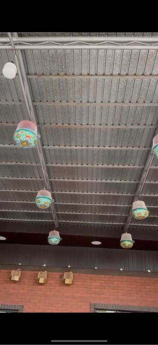 продаются перепелки, итальянские