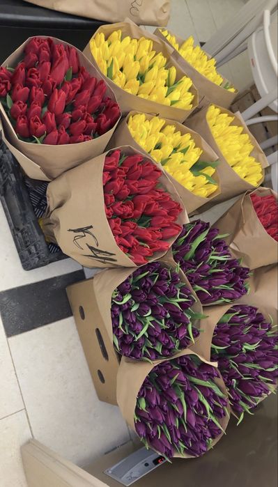 Голландские тюльпаны