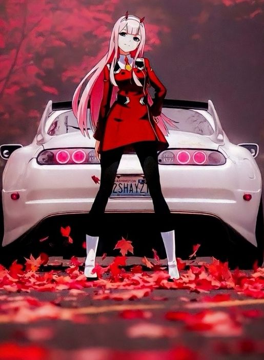 Curse Târgoviște București