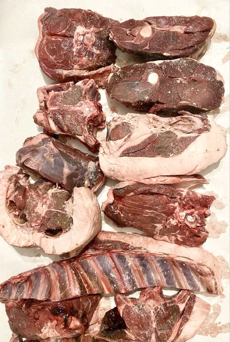 Продам мясо Сайгака