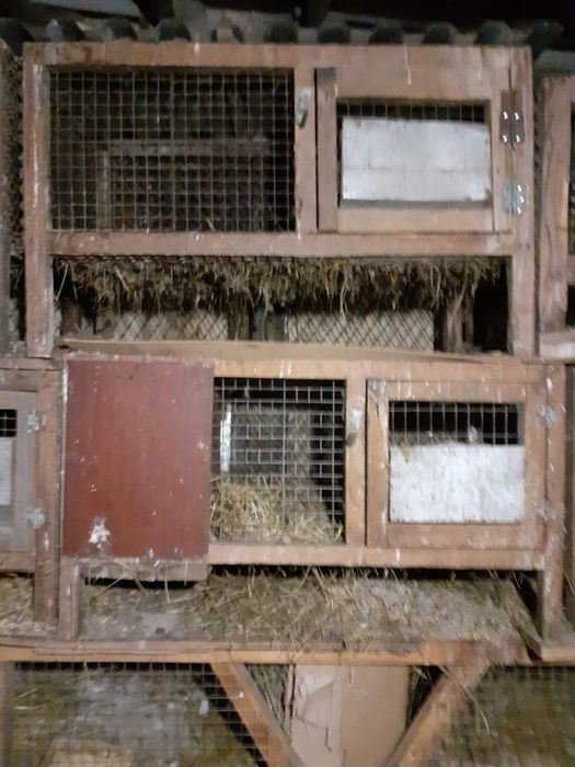 Продам клетки для кроликов.