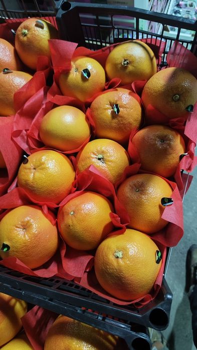 Грейпфрут Турция