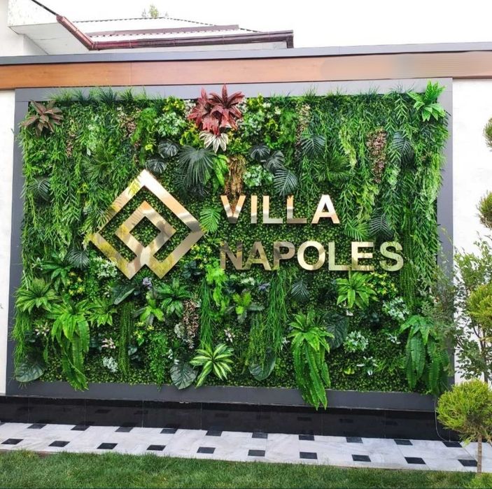 Yashil devor (Мох) Yetkazib berish.