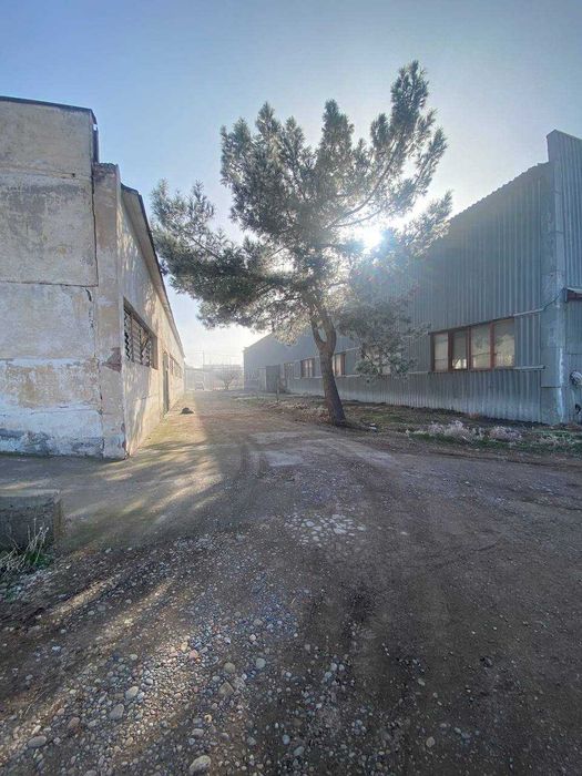 Сдаётся в аренду территория для производства