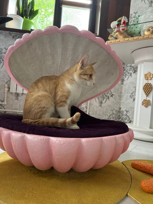 Домик, Лежак, Ракушка для КОШКИ!