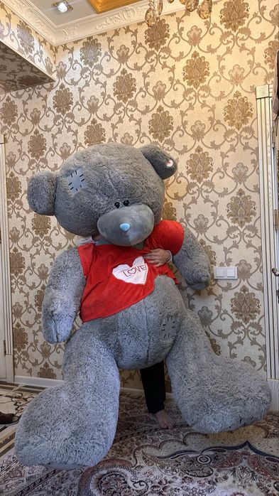 Katta teddy ayiq