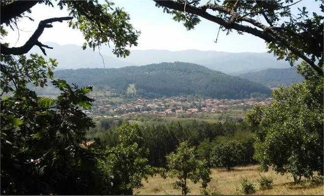 Земеделски имот в с. Турия, общ. Павел баня