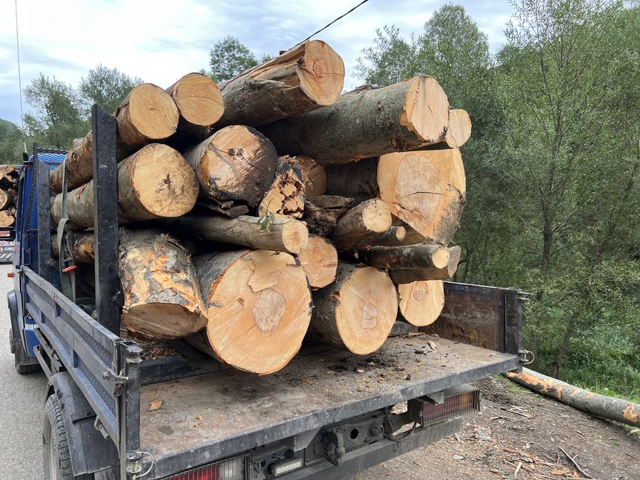 Lemn  LA 3m SAU BOCI