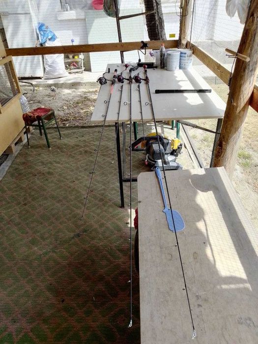 Baliqchlia wottamisila