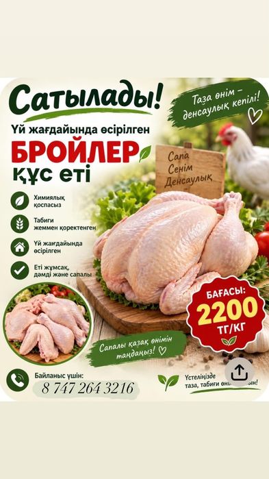 Бройлер Тауық еті