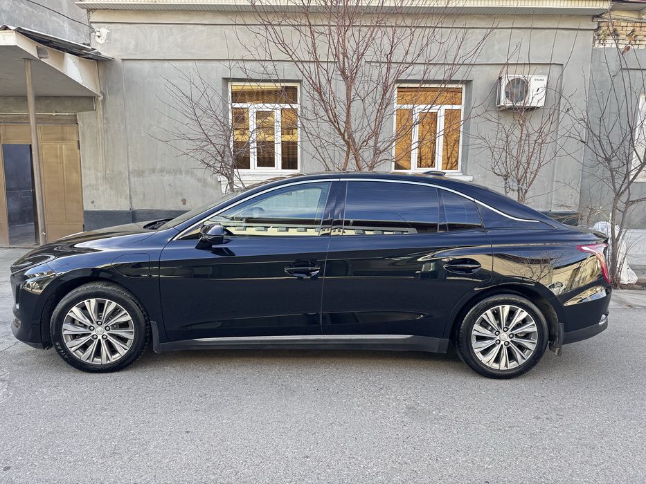 Hongqi eqm5 500 tali