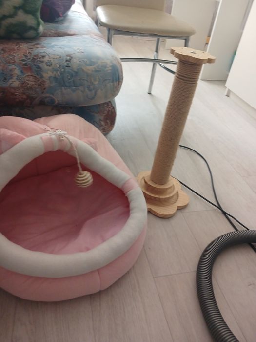 домик для кошки и когтеточка