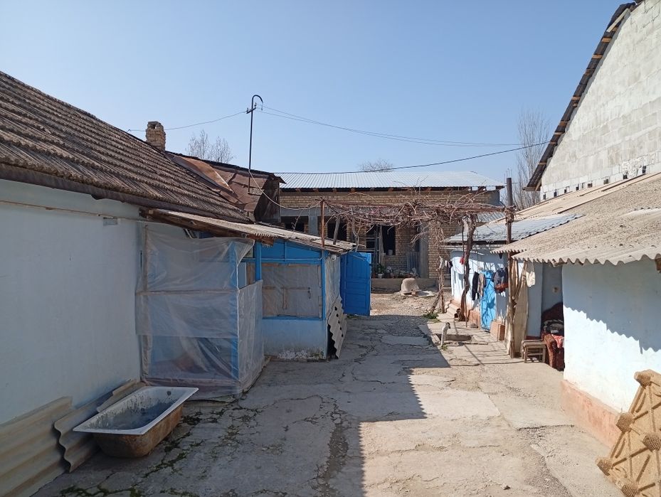 Янгибозорда Уй  сотилади