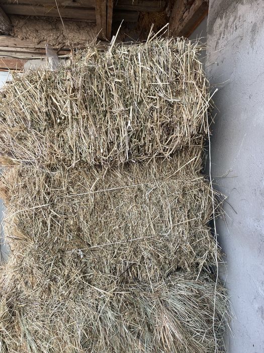 Қырдың шөбі гарантия