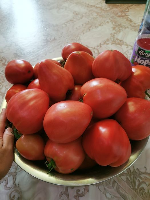 Продам домашние помидоры мясистые