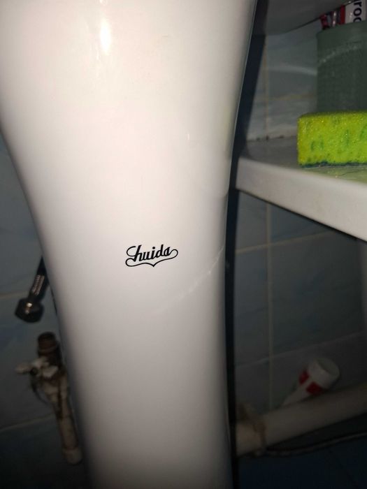 Продам тюльпан с раковиной