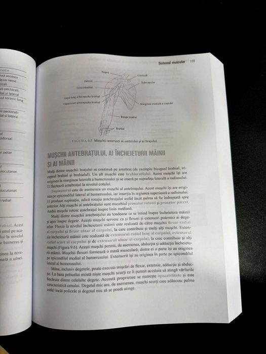 Barron´s - Anatomie și Fiziologie Umană (2022)