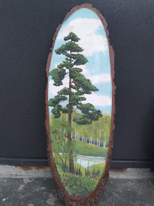 Продам две картины.Яркие.красивые.