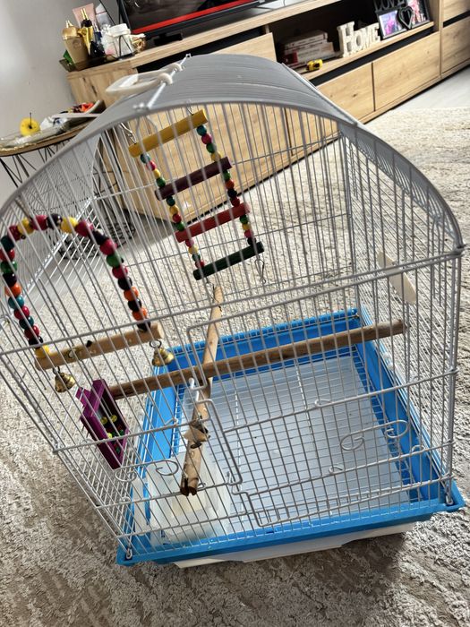 Colivie pasari,papagali , nimfe