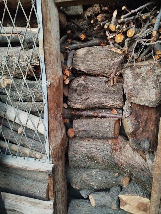 Отин тункалар  сотилади