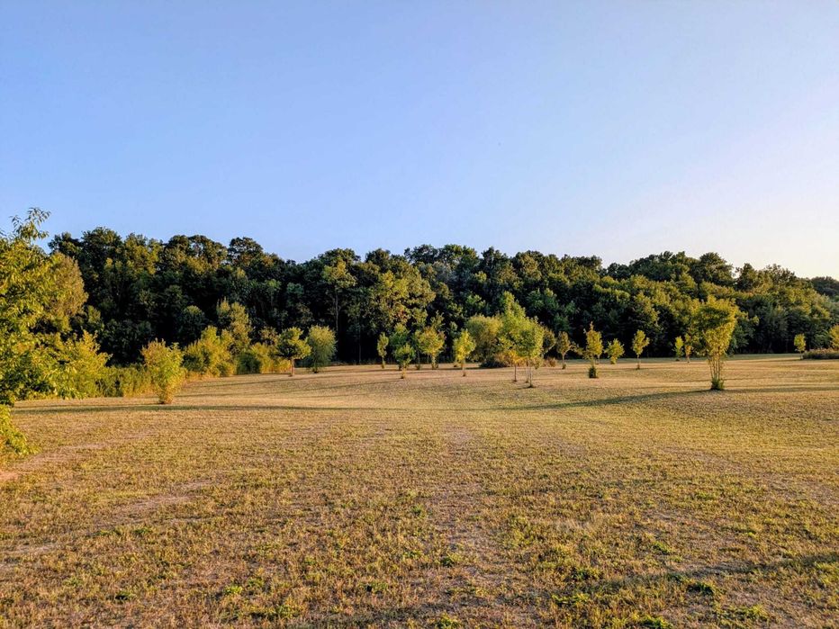 Vand Teren extravilan, 6000 mp, in Ghiroda